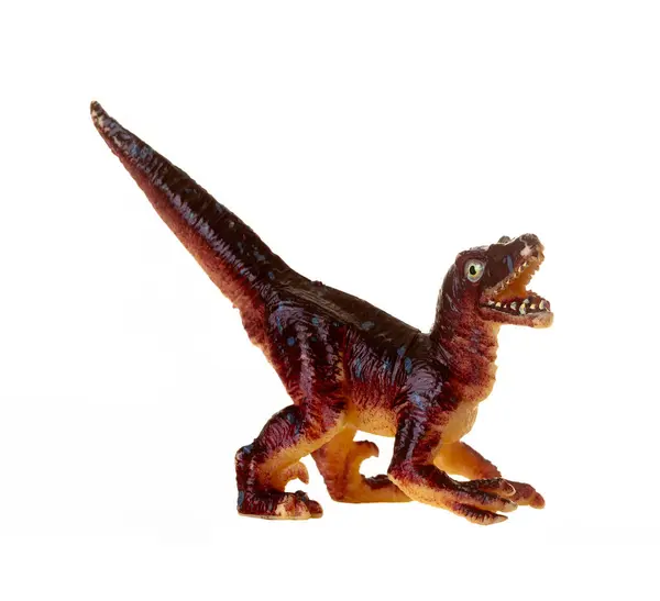 Réplica Brinquedo Detalhada Dinossauro Velociraptor Isolado Fundo Branco Imagem De Stock