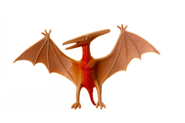 Plast Modell Pterosaurie Flygande Dinosaurie Visas Upp Mot Ren Vit Stockfoto
