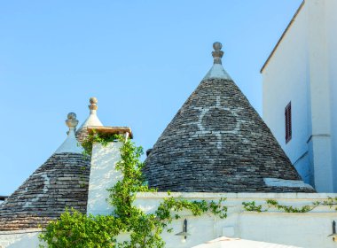 Trulli evlerin geleneksel konik çatıları alberobello, puglia, italyan sarmaşıklarla kaplı beyaz bir duvarla kaplıdır.