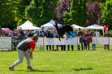 Montelupo Fiorentino, İtalya - 07 Mayıs 2017: Ambrogiana parkında, köpekler ve sahipleri Meyer Vakfı 'nın evcil hayvan terapisi faaliyetlerini desteklemek için birçok faaliyet gösterdiler..