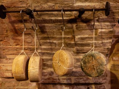 Baharatlı pekorino peynirinin çarkları tavandan sarkan tuğla duvarlı bir mahzende