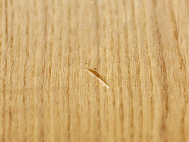 Hafif renkli ahşabın pürüzsüz yüzeyini kırarak, dokusu ve kırılganlığını vurguluyor.