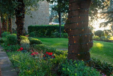 İp ışıkları, güzel bir bahçede günbatımında ağaçları aydınlatarak büyülü ve şenlikli bir atmosfer yaratıyor.