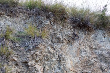Uçurumun tepesinde yaban otlar büyüyor görünür çatlaklar ve erozyon belirtileriyle, yüksek bir heyelan riski ve potansiyel tehlike işareti var.