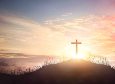 Turuncu gündoğumu karşı ahşap çapraz