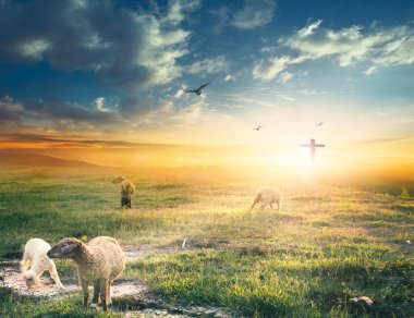Christ Jesus concept, Flock of sheep on cross and sunset background