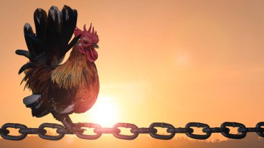 Silhouette rooster standing on chains on blurred beautiful sunrise sky with sunlight background clipart