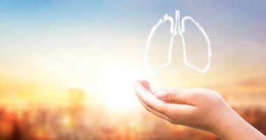 Gün batımında PM2.5 şehir arka planında beyaz insan akciğeri şekli