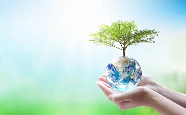 Sadzenie Drzew Ziemi Wolontariat Ręce Błękitne Niebo Zielone Tło Element — Zdjęcie stockowe