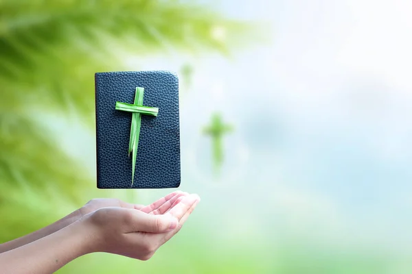 Domingo Ramos Mão Humana Segurando Cruz Feita Folhas Palma Bíblia — Fotografia de Stock