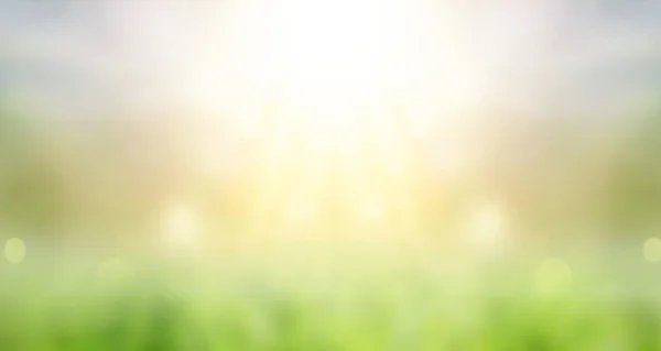 World Environment Earth Day Blur Natural Green Bokeh Sun Light — Stock Photo, Image