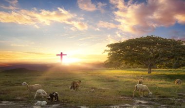 İsa 'nın haçında koyun sürüsü ve günbatımı arka planı