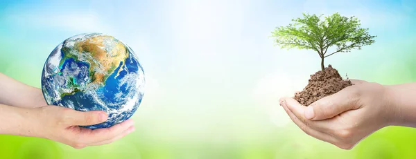 world environment and earth day, Two human hands holding big tree and earth globe over green and blue sky nature background. Elements of this image furnished by NASA