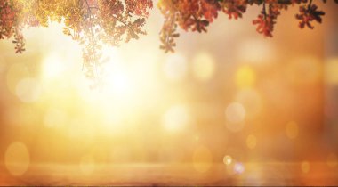 Sonbahar kayın yaprakları bir güzel doğa bokeh arka plan süslemeleri