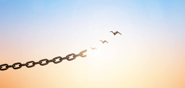 Peace and freedom concept, silhouette of flying birds and broken chain on beautiful sky sunset background