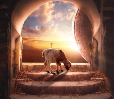 Easter concept: a lamb in Empty tomb stone with cross on  sunrise background clipart