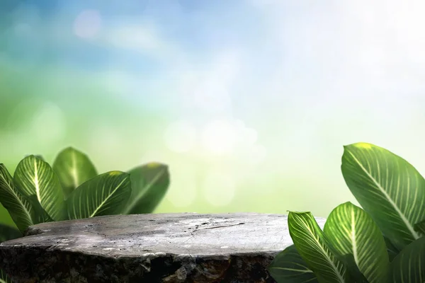 stock image a Empty Natural stone and concrete podium in Natural green background