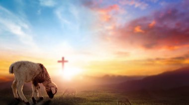 Easter concept, Christ Jesus concept, Flock of sheep on cross and sunset background clipart