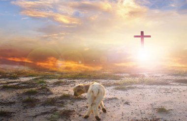 Haç siluetinde kayıp bir koyun dağda parlak güneş ışığıyla renklendirilmiş arka planda.