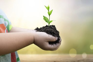 Doğanın arka planında toprağı olan genç yeşil bitkiyi tutan çocuğun yakın çekimi