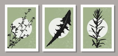 Çağdaş kolaj, minimalist duvar sanat botanik posterleri ve soyut organik çiçek şekilleri. Vektör illüstrasyonu