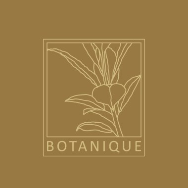 Modaya uygun botanik soyut bohem tasarım simgesi minimal doğrusal logo olarak idealdir