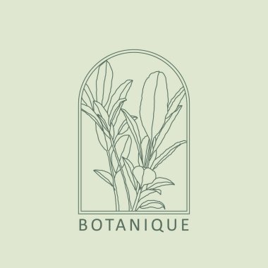 Modaya uygun botanik soyut bohem tasarım simgesi minimal doğrusal logo olarak idealdir