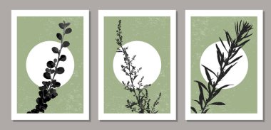 Dalları ve yaprakları olan modaya uygun minimalist botanik vektör çizimleri, sanat galerisi için ideal, modern duvar sanat posteri, minimal iç tasarım
