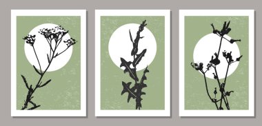 Dalları ve yaprakları olan modaya uygun minimalist botanik vektör çizimleri, sanat galerisi için ideal, modern duvar sanat posteri, minimal iç tasarım