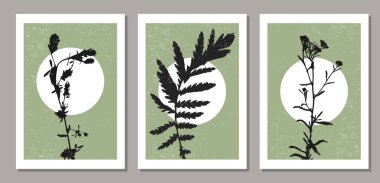 Dalları ve yaprakları olan modaya uygun minimalist botanik vektör çizimleri, sanat galerisi için ideal, modern duvar sanat posteri, minimal iç tasarım