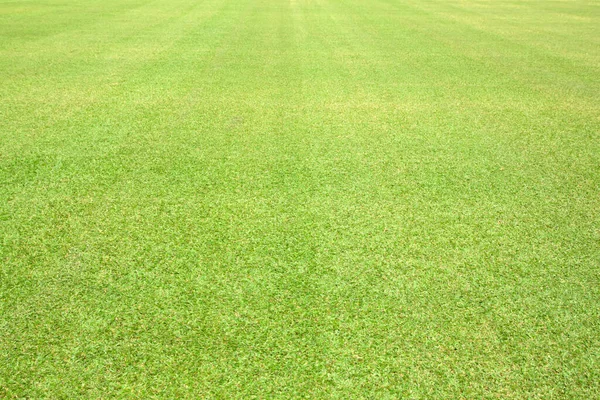 Green Grass Field Football Field Background — Stock Photo, Image