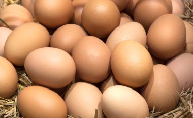 Kırsaldaki bir çiftlikte ahşap bir masada tavuk yumurtası.