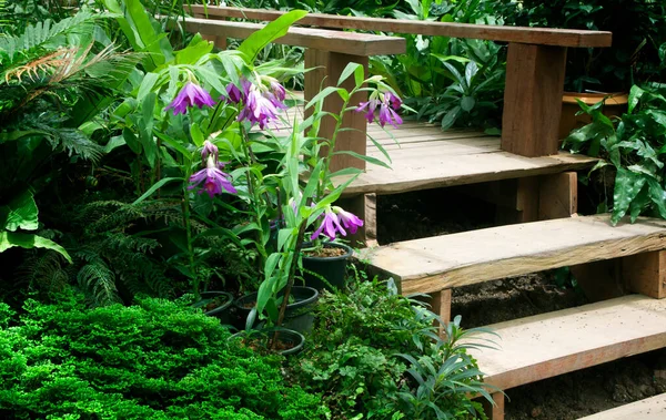 Escaliers Dans Jardin Fleurs — Photo