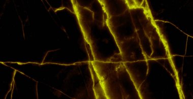 Sarı damarlı siyah mermer arkaplan