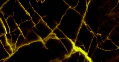 Sarı damarlı siyah mermer arkaplan