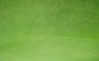 Yeşil çimenler doğayı bulanıklaştırdı