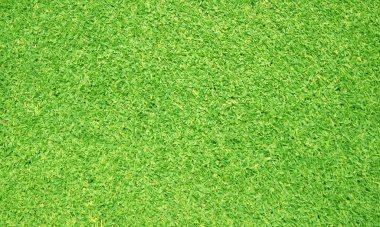 Yeşil çimen dokusu arka plan Çimlerin üst görünümü