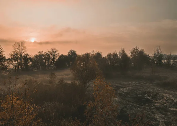 Jesienny Mglisty Poranny Krajobraz Lesie Słońcem Przez Chmury Poranne Drzewa — Zdjęcie stockowe