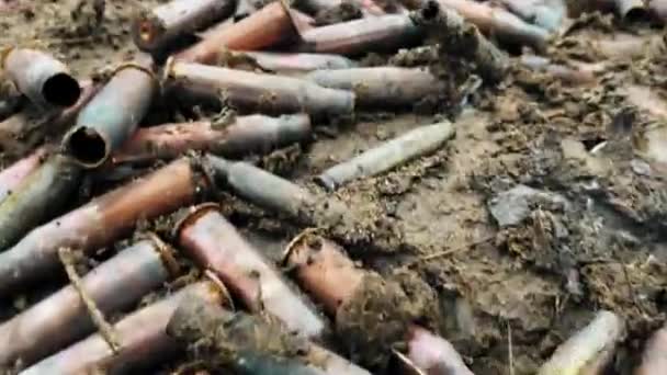 在肮脏的地面特写范围内的机枪弹壳的大量弹壳 黄铜和铜弹药筒 射程内发射的弹药筒 — 图库视频影像