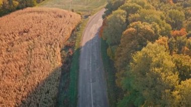 Pazar günü araba gezisi, arabayla aile gezisi. Hava aracı atışı. Güneşli bir yaz gününde bir aile arabası köy yolunda gidiyor. Aile gezisi..