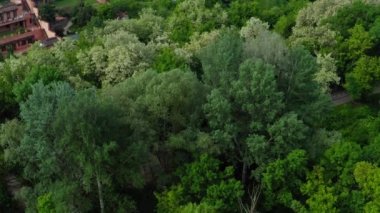 Pahalı seçkin evlerle şehrin güzel ve pahalı bölgesinin insansız hava aracı çekimleri. Park alanındaki yeşil ağaçlar arasında pahalı kır evleri ve apartmanlar: şehirde lüks gayrimenkuller.