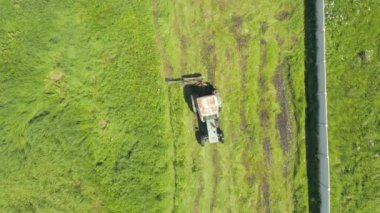 Traktör sabah çitin yanındaki yeşil olgun çimenleri biçer. Traktör saman kurutmak için yeşil çim biçiyor. Üst görüş drone çekimi. Traktör ve çim biçme makinesi ile saman biçme - üst görünüm. 
