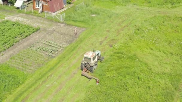 Gamla Traktorn Klipper Grönt Moget Gräs Sommaren Dag Antenn Drönare — Stockvideo