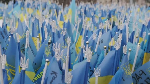 Many Blue Yellow Flags Ukraine Ground Outdoor Winter Day Symbol — Stockvideo