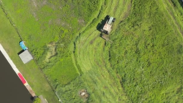 Old Tractor Mows Green Ripe Grass Meadow Aerial Drone Shot — Stockvideo
