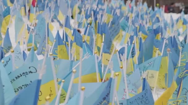Lot Blue Yellow Flags Ukraine Stuck Snow Flags Symbol Indestructibility — Stock video
