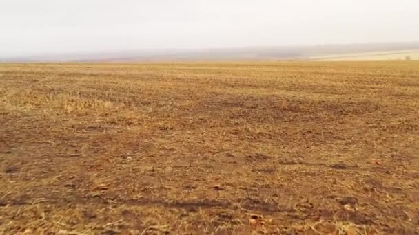 Беспилотник Летит Над Пустыми Полями Недавно Собран Урожай Полевой Пейзаж — стоковое видео