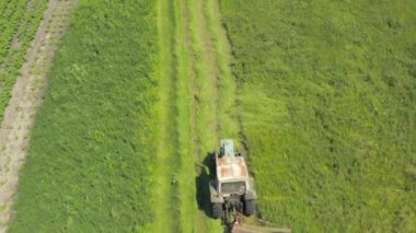 Eski traktör yeşil olgun çimleri çayırda biçer. Hava aracı görüntüsü. Summer Haymaking traktör çim biçme makinesiyle. Traktör saman kurutmak için yeşil çim biçer - üst hava görüntüsü. 