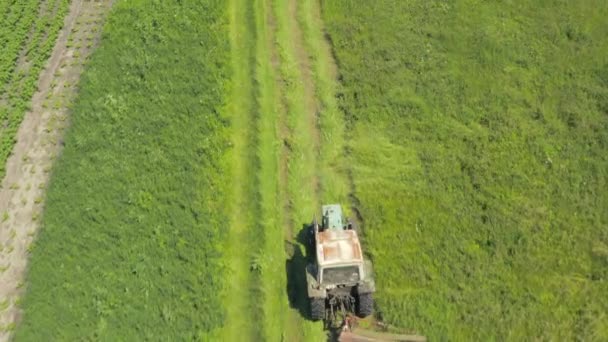 Old Tractor Mows Green Ripe Grass Meadow Aerial Drone Shot — Stockvideo