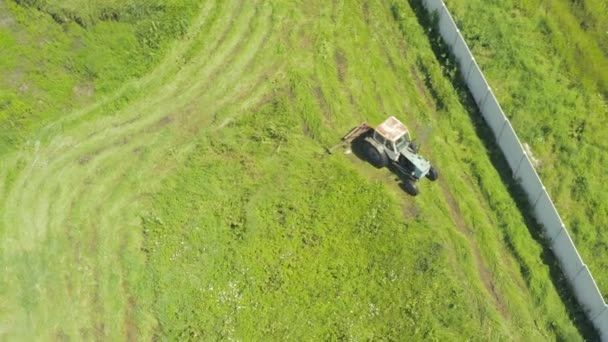 拖拉机早上在栅栏附近修剪绿色的成熟的草地 拖拉机修剪青草 晒干干草 俯瞰无人机射击 用拖拉机和割草机割草 顶部视图 — 图库视频影像